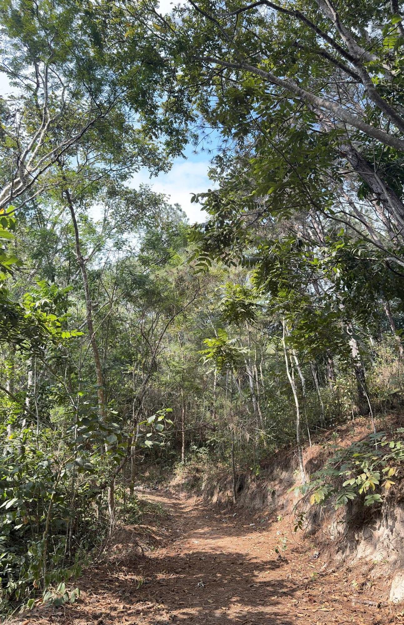 Parque Resort Guararema
